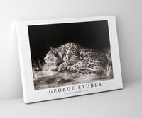 
              George Stubbs - A Sleeping Cheetah 1788
            