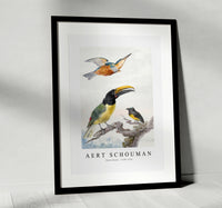 
              Aert schouman - Three Birds-1720-1792
            