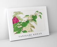 
              Tanigami Konan - Lilac flower
            
