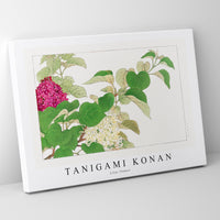 Tanigami Konan - Lilac flower