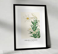
              Ohara Koson - Lilies (1912 - 1930) by Ohara Koson (1877-1945)
            
