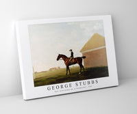 
              George Stubbs - Turf, with Jockey up, at Newmarket 1766
            