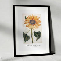 Johan Teyler - Sunflower (1688-1698)