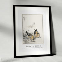 Numata Kashu - Small Japanese Greenfinch and Shepherd's Purse illustration from Pictorial Monograph of Birds (1885)