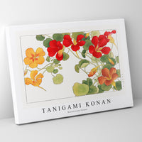 Tanigami Konan - Nasturtium flower