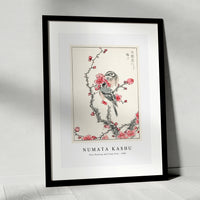 Numata Kashu - Pine Bunting and Plum Tree illustration from Pictorial Monograph of Birds