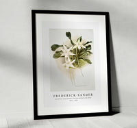 
              Frederick Sander - Aeranthus sesquipedalis from Reichenbachia Orchids-1847-1920
            