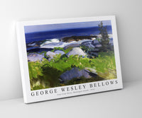 
              George Wesley Bellows - Vine Clad Shore, Monhegan Island 1913
            