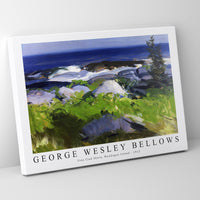 George Wesley Bellows - Vine Clad Shore, Monhegan Island 1913