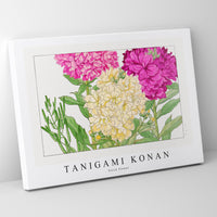 Tanigami Konan - Stock flower