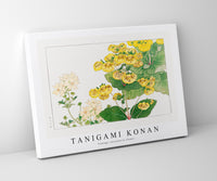 
              Tanigami Konan V intage calceolaria flower
            