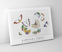 
              Kamisaka Sekka - Japanese butterfly (One Thousand Butterflies) - 1904 (8)
            