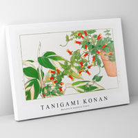 Tanigami Konan - Maranta & manettia flower