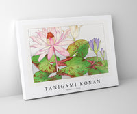 
              Tanigami Konan - Nymphaea lotus
            