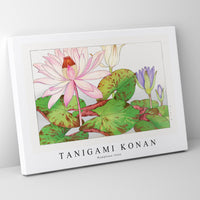 Tanigami Konan - Nymphaea lotus