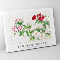 Tanigami Konan - Vintage godetia flower