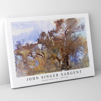 John Singer Sargent - Treetops against Sky (ca. 1909–1913)