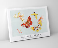 
              Kamisaka Sekka - Japanese butterfly (One Thousand Butterflies) - 1904
            
