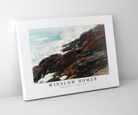 
              winslow homer - High Cliff, Coast of Maine-1894
            
