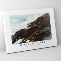 winslow homer - High Cliff, Coast of Maine-1894
