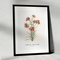 Johan Teyler - Six carnations