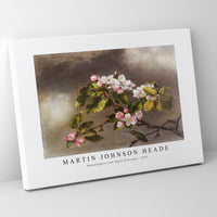 Martin Johnson Heade - Hummingbird and Apple Blossoms (1875)