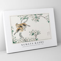 Numata Kashu - Japanese Meadow Bunting and Pear Flower illustration from Pictorial Monograph of Birds (1885)