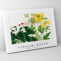 Tanigami konan - Clerodendrum & rudbeckia flower