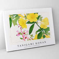 Tanigami Konan - Vintage clarkia & allamanda flower