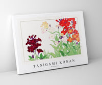 
              Tanigami Konan - Wall flower
            