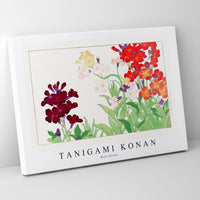 Tanigami Konan - Wall flower