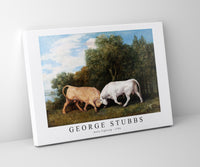 
              George Stubbs - Bulls Fighting 1786
            