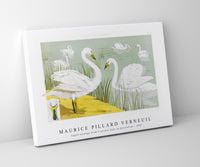 
              Maurice Pillard Verneuil - Cygne sauvage from L'animal dans la décoration (1897) illustrated
            