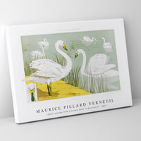 Maurice Pillard Verneuil - Cygne sauvage from L'animal dans la décoration (1897) illustrated