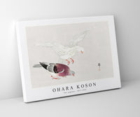 
              Ohara Koson - Two pigeons (1877-1945) by Ohara Koson (1877-1945)
            