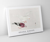 
              Ohara Koson - Two pigeons (1877-1945) by Ohara Koson (1877-1945)
            