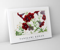 
              Tanigami Konan - Matricaria & salpiglossis flower
            