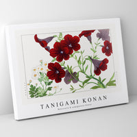 Tanigami Konan - Matricaria & salpiglossis flower