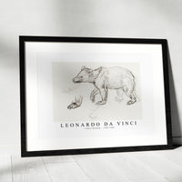 Leonardo Da Vinci - A Bear Walking 1482-1485