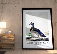 
              aert schouman - A Duck-1725-1792
            