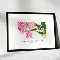 Tanigami Konan - Vintage laelia flower