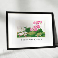Tanigami Konan - Vintage primrose flower