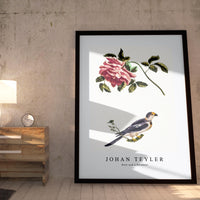 Johan Teyler - Rose and a Parakeet