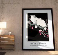 
              Ohara Koson - Two cockatoo and plum blossom (1925 - 1936) by Ohara Koson (1877-1945)
            