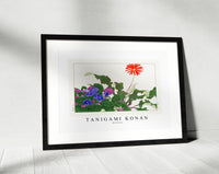 
              Tanigami Konan - Wildflower
            