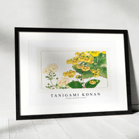 Tanigami Konan V intage calceolaria flower
