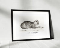 
              Jean Bernard - Lying cat for a dish (1812)
            