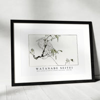 Watanabe Seitei - White cockatoo perched on a branch. Illustration 1890-1891