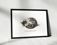 
              Jean Bernard - Rolled up lying sleeping cat (1825)
            