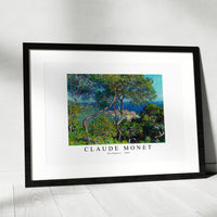 Claude Monet - Bordighera 1884